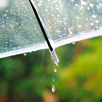 伊藤瓦店：雨漏り